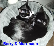 Berry & Murrmann