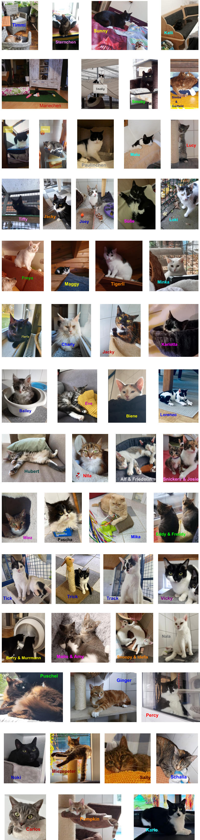 Paulinchen Lucy Malu Tiffy Jacky Joey Se Loki Maggy Tigerli Minka Freya Smoky Mariechen Simba     & Garfield   Sternchen Timmi Sunny Kalli Charly Jacky Karlotta      Eve         Bailey         Biene Lorenzo Hubert Nila Alf & Friedolin  Snickers & Josie Miez Pascha Mika Eddy & Freddy Ginger Percy Puschel Tick Trick Track Vicky Mailo & Amy    Berry & Murrmann Snoopy & Idefix Nala Sally Noki Schalia Carlos Karlo Pumpkin