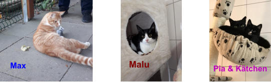 Malu Pia & Kätchen Max