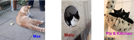 Malu Pia & Kätchen Max